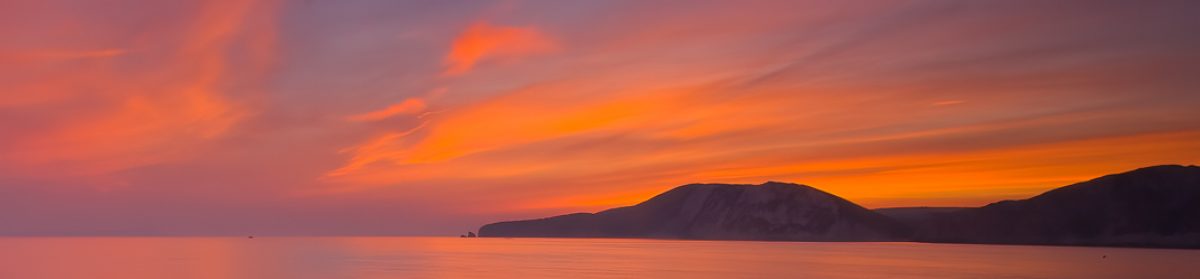 Bateson's  Travel  log