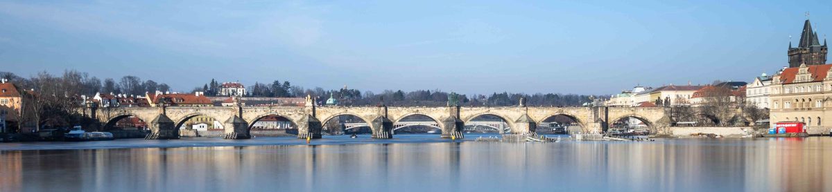 Bateson's  Travel  log