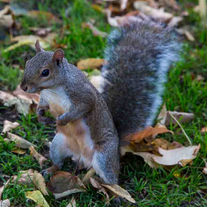 This image has an empty alt attribute; its file name is vanessas-photo-68-of-1.jpg