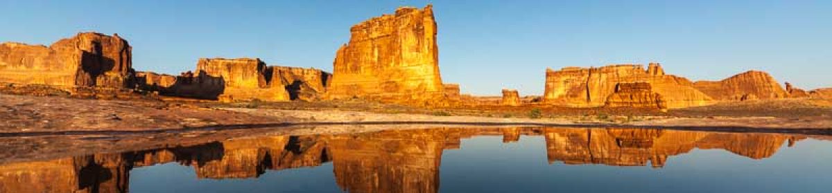 Bateson's  Travel  log