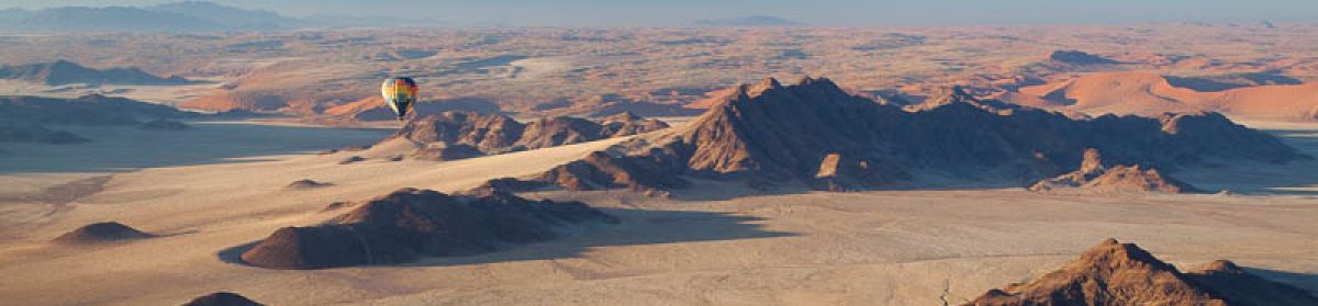 Bateson's  Travel  log