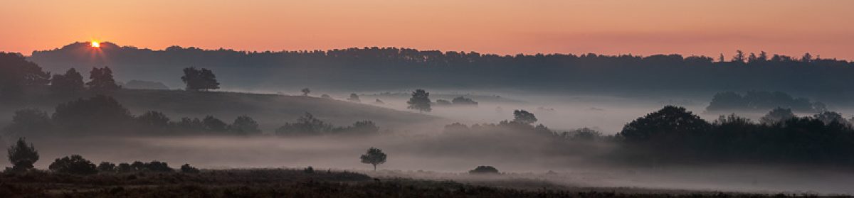 Bateson's  Travel  log