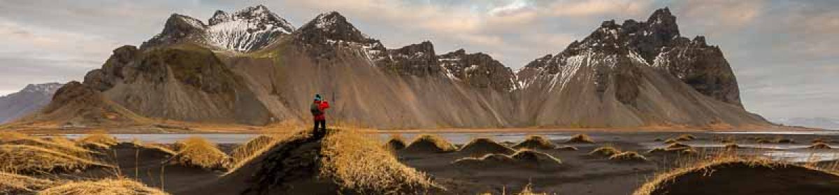 Bateson's  Travel  log