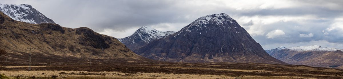 Bateson's  Travel  log