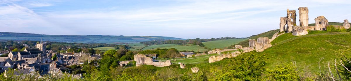 Bateson's  Travel  log