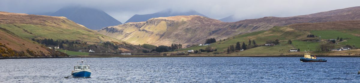 Bateson's  Travel  log