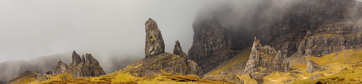 Bateson's  Travel  log