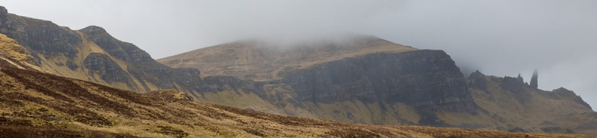 Bateson's  Travel  log